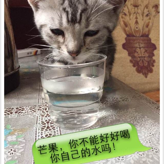 活地县分校 Certificate